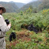  Curtis with some Gorillas